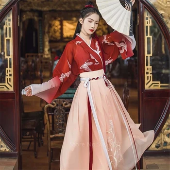Antik Çin Geleneksel Giyim Hanfu Kadın Kızlar Sahne Performansı halk dans kostümü Vinç Desen Kademeli Gazlı Bez Elbise