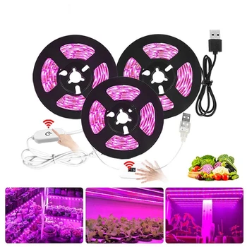 Büyümek LED şeritler tam spektrum ışık kapalı büyüyen lambalar bitki için lamba SMD2835 5V USB Phyto bant Led çiçek akvaryum ışık büyümeye yol açtı