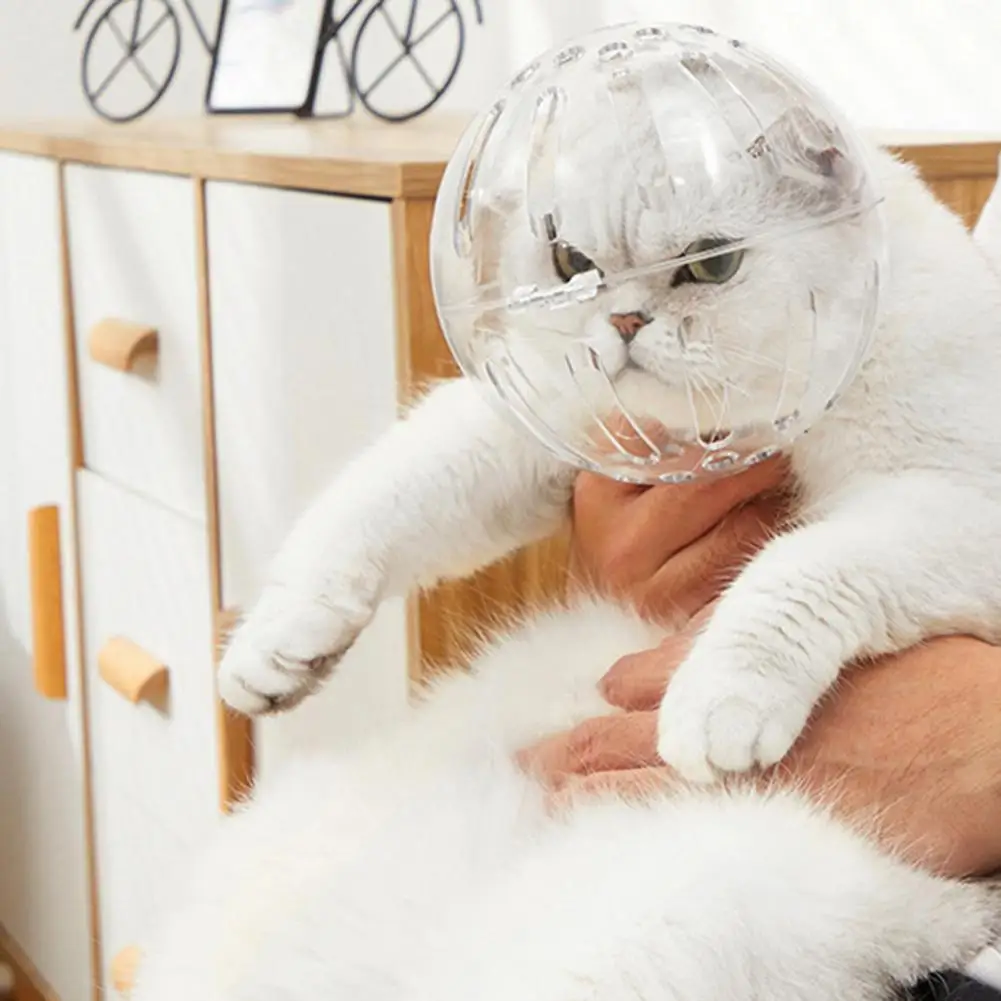 Faydalı Pet Yaka Hiçbir Koku Kedi Başlık Nefes Kediler Yavru Anti-bite Malzemeleri Kapak Yemek Önlemek Gelişigüzel Görüntü 1