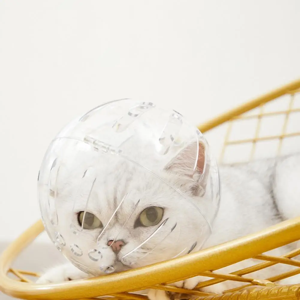 Faydalı Pet Yaka Hiçbir Koku Kedi Başlık Nefes Kediler Yavru Anti-bite Malzemeleri Kapak Yemek Önlemek Gelişigüzel Görüntü 2